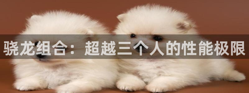 聚富welcome平台注册入口：骁龙组合：超越三个人的性能极限