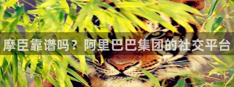聚富welcome股份：摩臣靠谱吗？阿里巴巴集团的社交平台