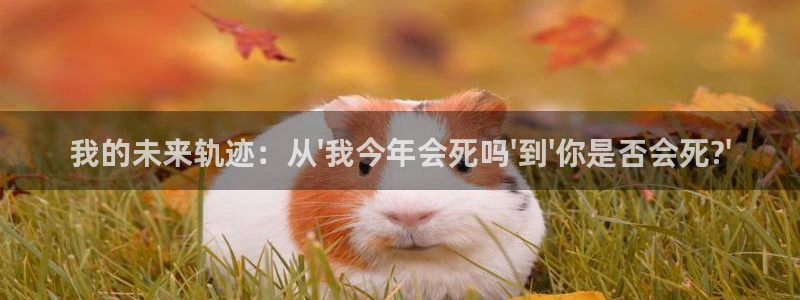 聚富welcome官网：我的未来轨迹：从\'我今年会死吗\'到\'你是否会死?\