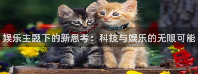 聚富welcome3平台登录注册：娱乐主题下的新思考：科技与娱乐的无限可能