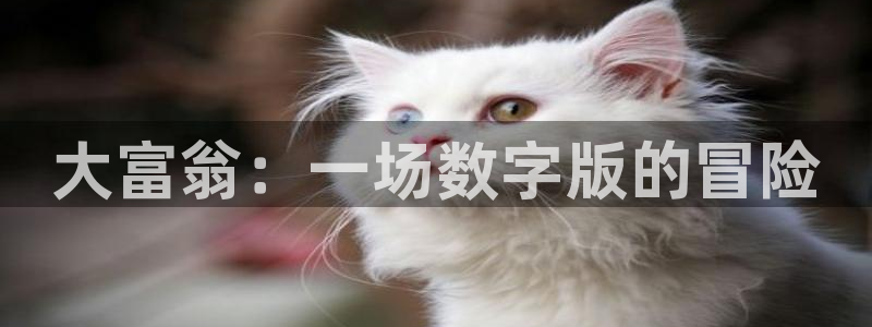 聚富welcome2登录地址：大富翁：一场数字版的冒险