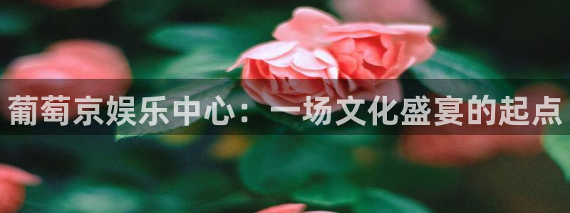 聚富welcome注册：葡萄京娱乐中心：一场文化盛宴的起点