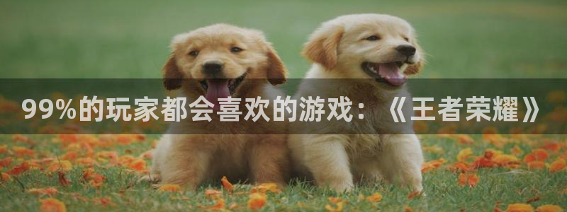 聚富welcomekgame：99%的玩家都会喜欢的游戏：《王者荣耀》