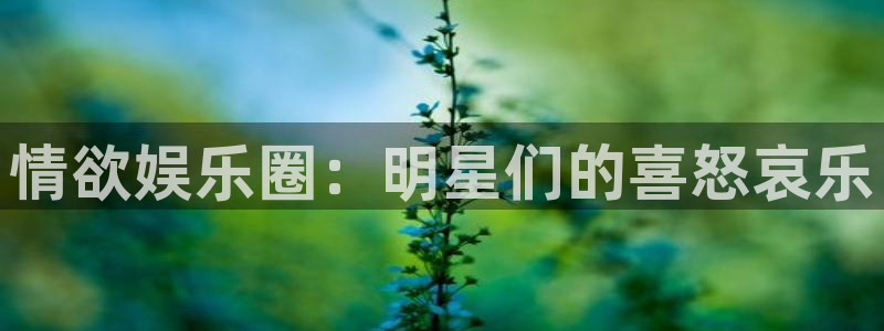 聚富welcome5招商：情欲娱乐圈：明星们的喜怒哀乐