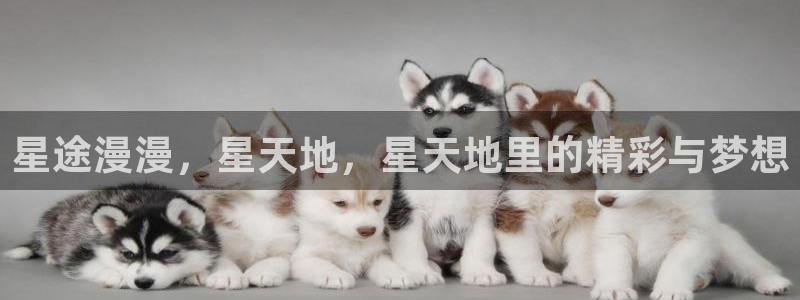 聚富welcome平台开户：星途漫漫，星天地，星天地里的精彩与梦想