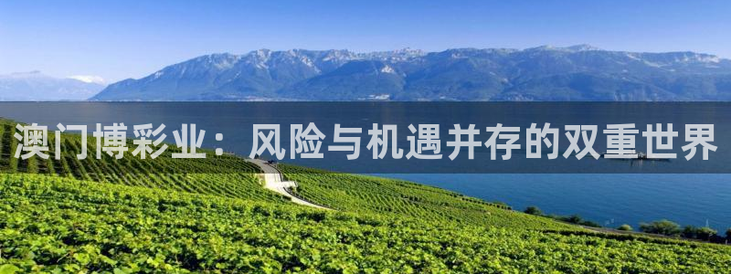聚富welcome平台开户：澳门博彩业：风险与机遇并存的双重世界