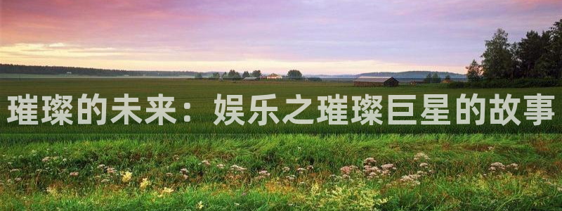 聚富welcome体育凯捷平台主管：璀璨的未来：娱乐之璀璨巨星的故事