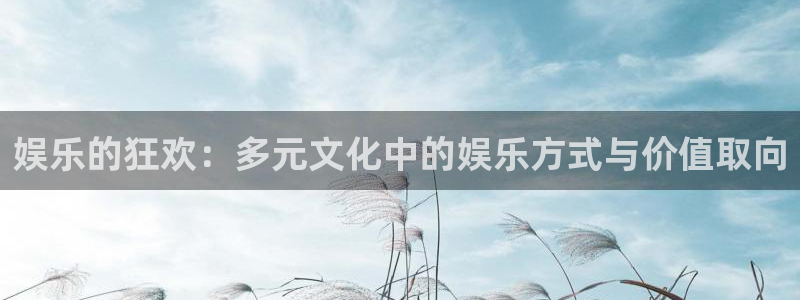 聚富welcomef平台注册：娱乐的狂欢：多元文化中的娱乐方式与价值取向