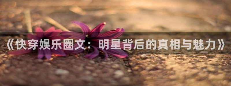 聚富welcome登录界面入口：《快穿娱乐圈文：明星背后的真相与魅力》