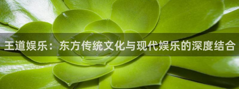 聚富welcome体育凯捷登陆：王道娱乐：东方传统文化与现代娱乐的深度结合
