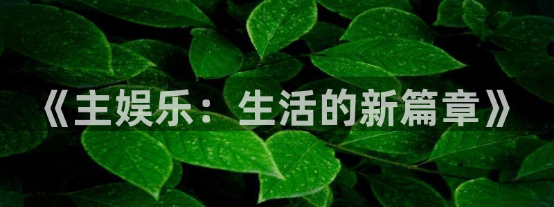 聚富welcome平台：《主娱乐：生活的新篇章》